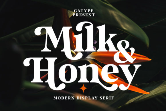 Milk and Honey Font for Polished Branding and Creative Projects