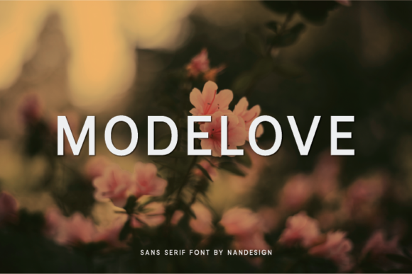 Modelove Font Review
